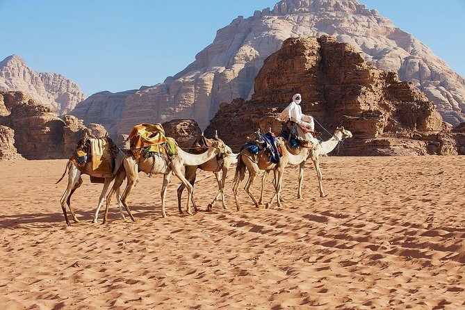 Petra and Wadi Rum Day Trip from Amman - Petra in one guided push: Siq, Treasury, Facades, Royal Tombs