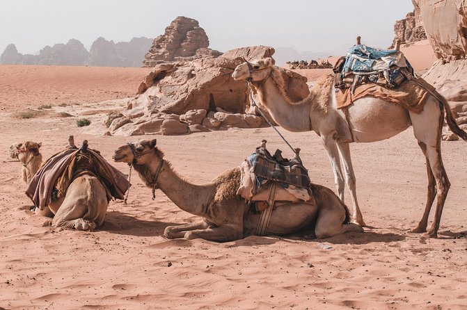 Petra and Wadi Rum in One Day | The Jordanian Mappers - Wadi Rum sunset and the return to your hotel