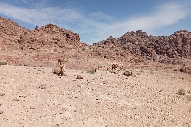 Petra Back-Road Trail and Hike - Quick take on the Petra back-road hike