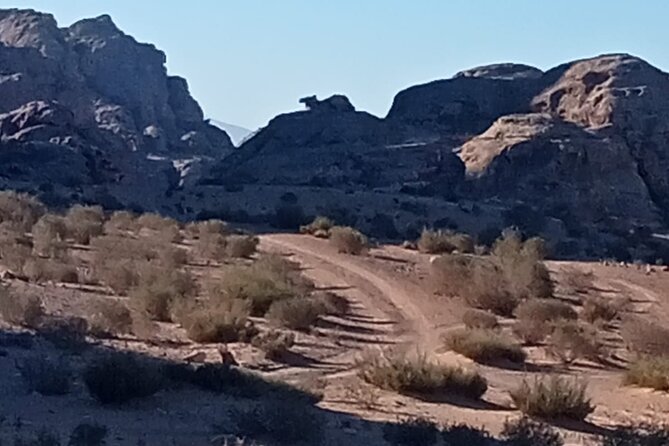 Petra Back-Road Trail and Hike - Hike route toward Shamasah and the big canyon approach