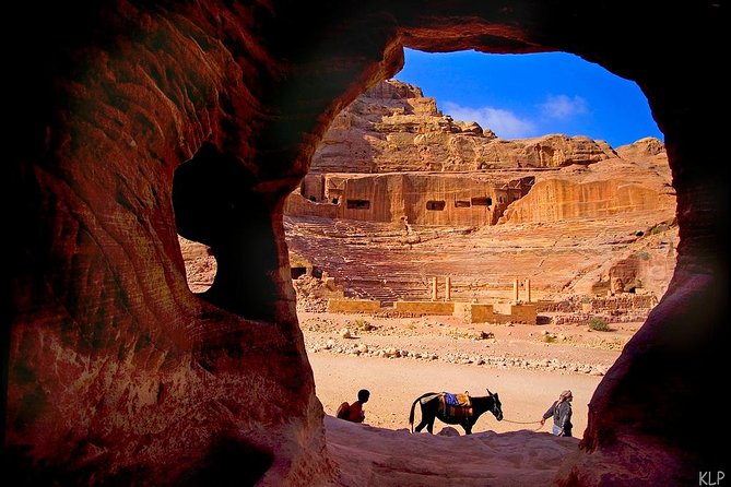 Petra Day Tour Transfers Only from Amman - The driver factor: safety, English, and little comforts