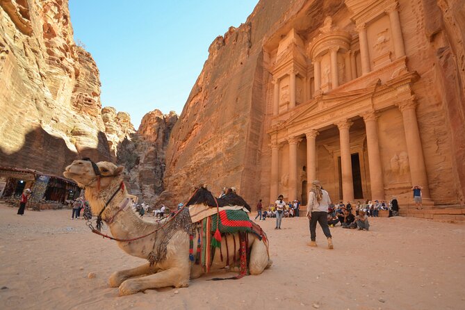 Petra & Dead Sea - One day Private tour - Price and Value: What $93.60 Covers, and What You Pay Separately