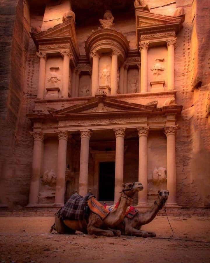 Petra & Dead Sea Private day tour - Who should book this Petra and Dead Sea combo?