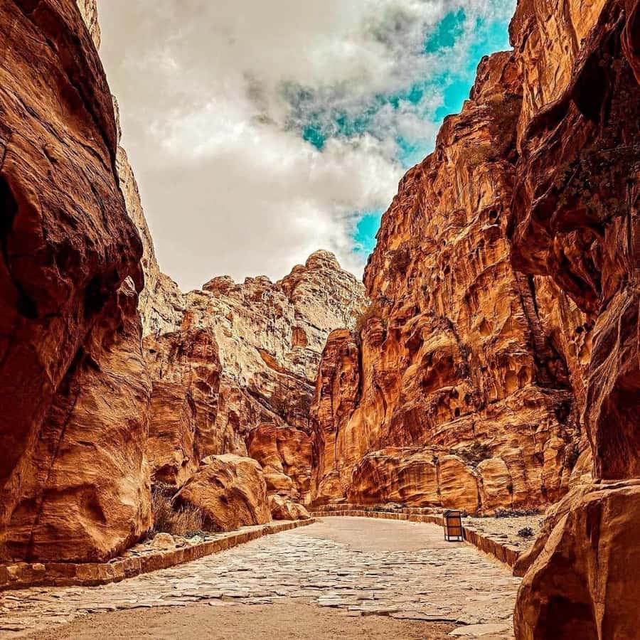 Petra Full-Day Private or Group Tour From Amman - Why this Amman to Petra day trip just makes sense