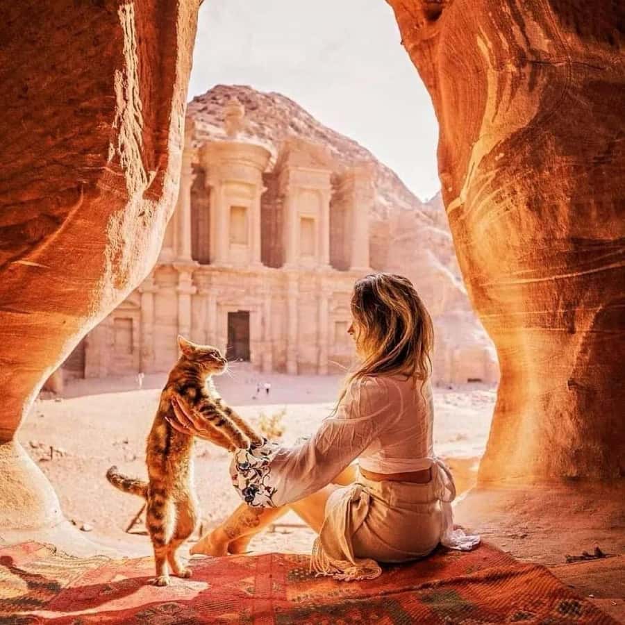 Petra Full-Day Private or Group Tour From Amman - Food and comfort on the road, including local stops