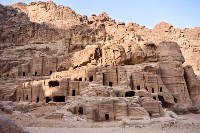 Petra, Little Petra and Shobak Castle - Private Tour From Amman - Should You Book This Petra, Little Petra, and Shobak Private Tour?
