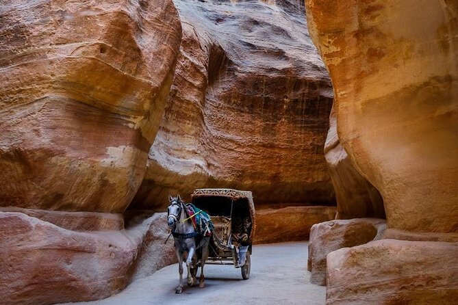 Petra Private Full-Day Tour - High Place of Sacrifice and the major temple stops