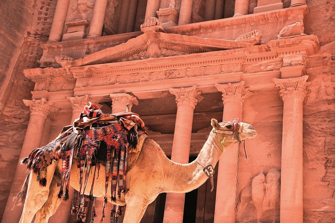 Petra Shore Excursion from Aqaba Port - Key Things I’d Pack Your Day Around
