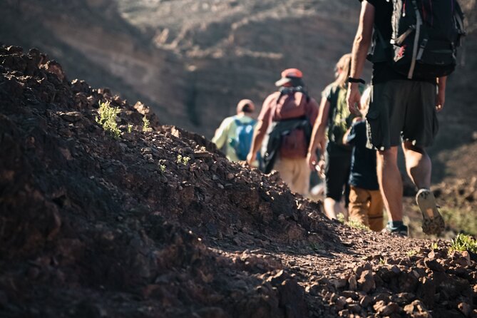 Petra to Wadi Rum Trek - 6 Days - Day 5: Long Ascent Out of the Jordan Valley, Then Jeep Time to Wadi Rum