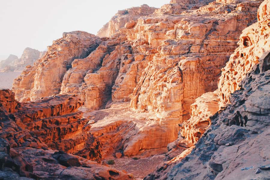 Petra & Wadi Rum: Full Day Private Tour with Hotel Pickup - Timing Reality Check: How to Avoid Feeling Rushed