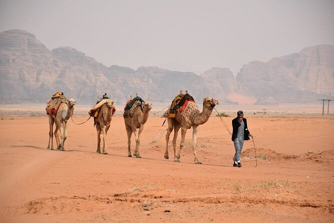 Petra & Wadi Rum Full-Day Tour from Amman or Airport - Getting Picked Up in Amman (Including the Airport) and Rolling Out Comfortably