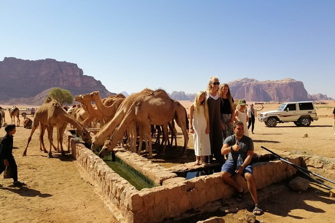 Petra & Wadi Rum in 3 Days from Amman Airport - Comfort and Practical Tips That Make the Difference