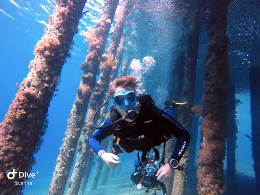 Pivate scuba diving in the Red Sea of Aqaba - Red Sea Clarity, Private Coaching, and the Cider Pride Focus