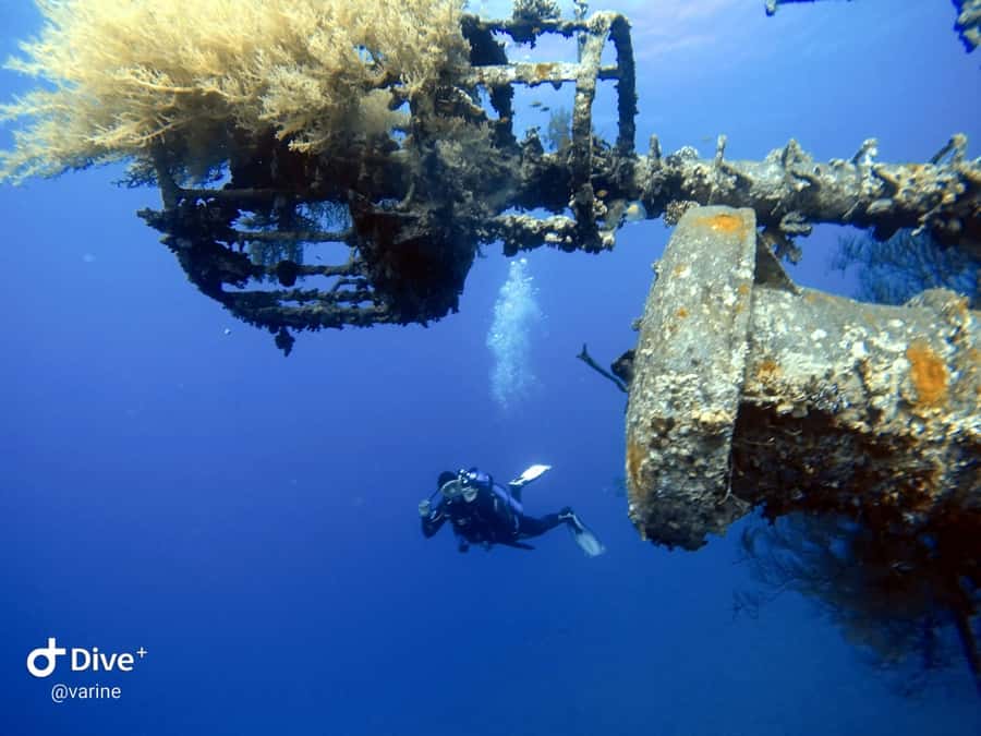 Pivate scuba diving in the Red Sea of Aqaba - Meeting at Aqaba Pro Divers and Getting Your Gear Fitted