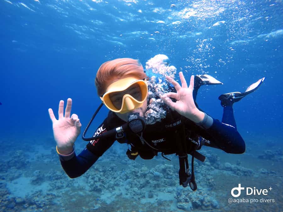 Pivate scuba diving in the Red Sea of Aqaba - Marine Highlights: Coral Reefs, Coral Mountains, and the Cider Pride Shipwreck