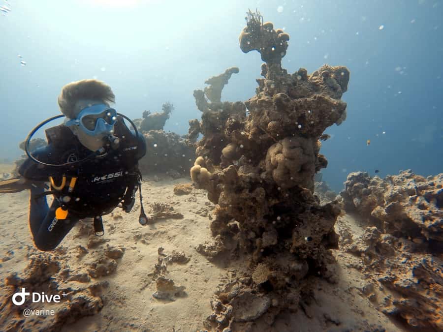 Pivate scuba diving in the Red Sea of Aqaba - Price vs Value: What $54 Really Covers in Aqaba