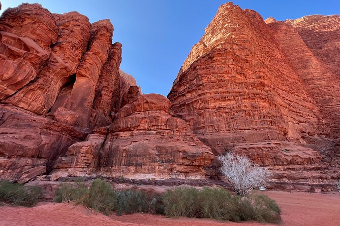 Private 1 Day Wadi Rum Desert Tour - Sunset at the Bivouac: Badawa Camp Dinner and Stargazing Sleep
