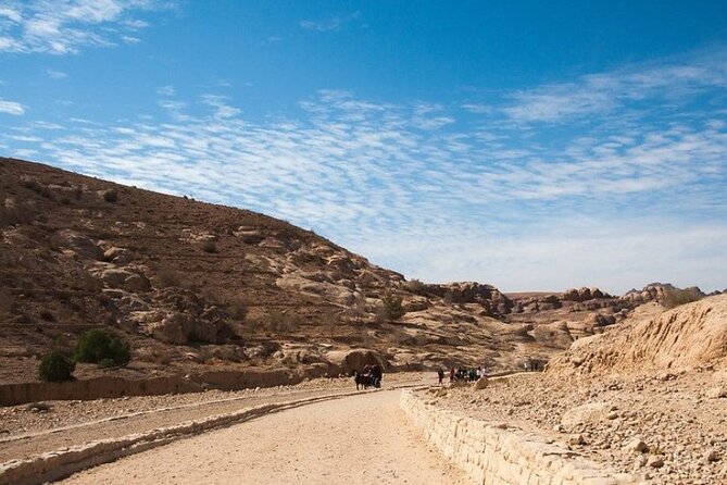 Private 5-Day Guided Tour of Jordan - Drivers, guides, and the safety factor that shows up again and again