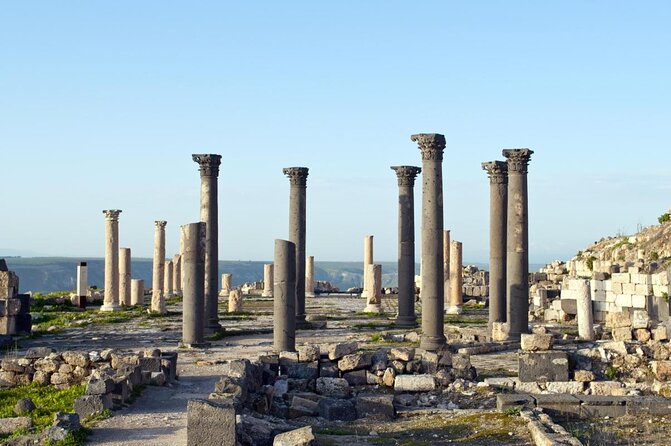 Private Day Trip to Jerash, Umm Qais and Ajloun Castle from Amman - Price and logistics: what you really pay for at $118 per person