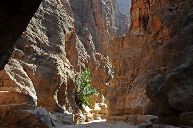 Private Full Day Tour from Amman to Petra - What the best drivers add (and how to use that advantage)