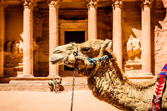 Private Full Day Tour from Amman to Petra City - Petra landmarks: the Djinn Blocks and the path through the Siq area