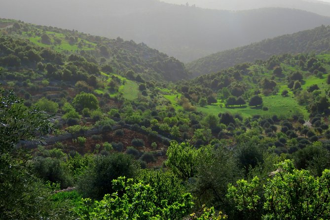 Private Full Day Tour to Umm Qais and Ajloun from Amman - The small museum and why it’s worth your time