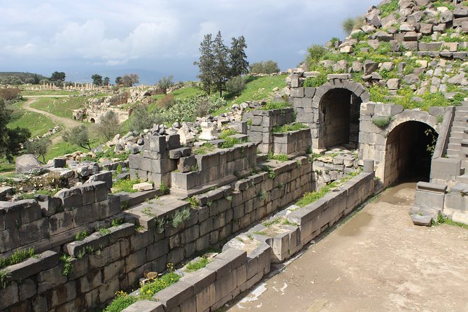 Private Full Day Tour to Umm Qais and Ajloun from Amman - Price and value: what $120 per person buys you