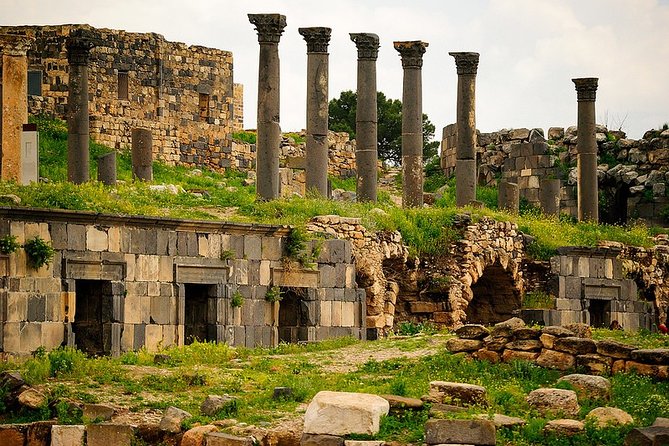 Private Guided Umm Quais and Jerash tour with lunch - Price and value: what you get for $224 per person
