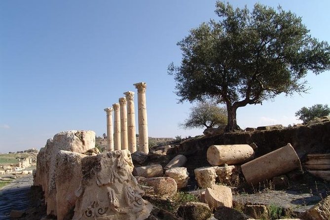 Private Guided Umm Quais and Jerash tour with lunch - Umm Qais: colonnaded street, theatres, and biblical connections