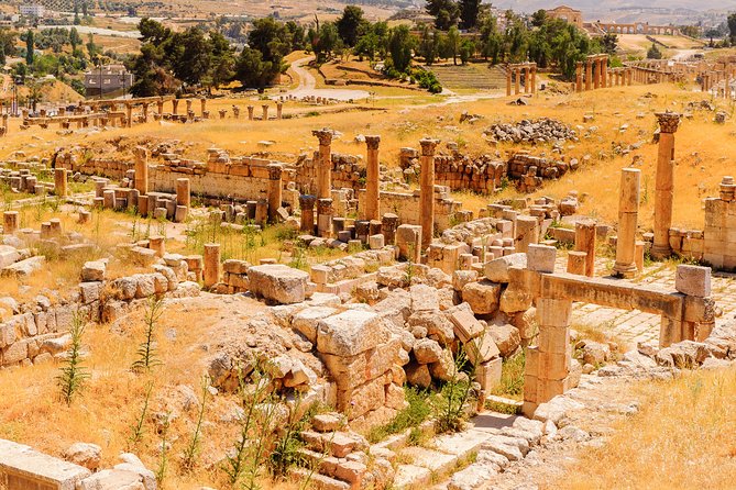 Private Half Day Jerash and Amman Sightseeing Tour - From your central Amman hotel to Jerash, comfort that matters