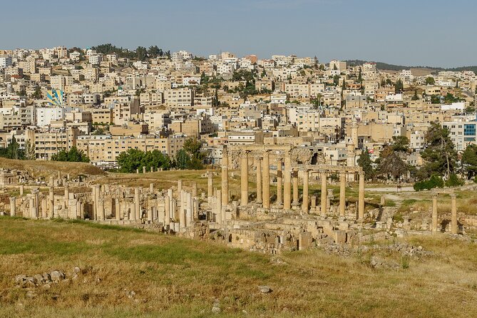 Private Half Day Tour in Jerash From Amman - Price and value: is $60 per person fair for this format?