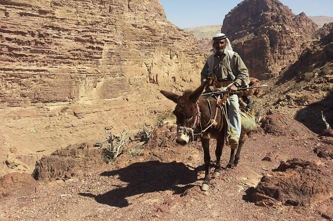 Private Half-Day Tour of Petra with Lunch - Timing for Theater and Tomb Views: Don’t Rush These Spots