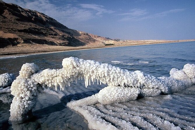 Private Half Day Tour to the Dead Sea - Key highlights you should know before you go