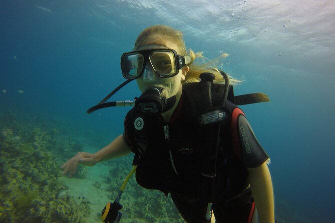 Private Intro Scuba Dive - Aqaba Coral Reefs - South Beach Shore Entry, Where the Red Sea Starts Right Next to You