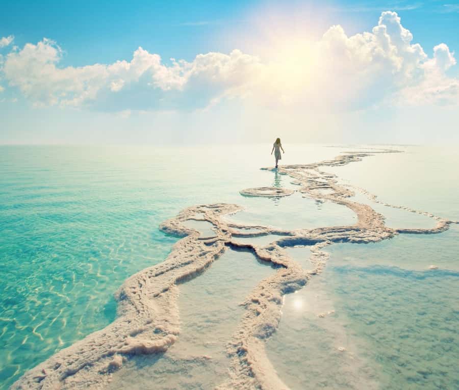 Private or sharing tour to Dead Sea,Nebo,Madaba&Baptism Site - Price and What This $73 Per Person Gets You