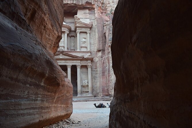 Private Petra and Little Petra Round-Trip Transfers from Amman - The Amman Pickup, the Drive, and Staying Comfortable for 12 Hours