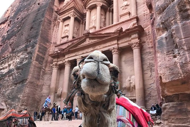 Private Petra Full-Day Trip from Aqaba City - Lunch and the Day’s Reset After Petra