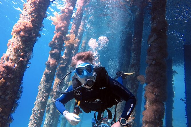 Private Scuba Diving Adventure in the Red Sea of Aqaba - Key things to know before you go