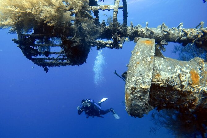 Private Scuba Diving Adventure in the Red Sea of Aqaba - Aqaba Shoreline Scuba: Why the Red Sea here is worth your time