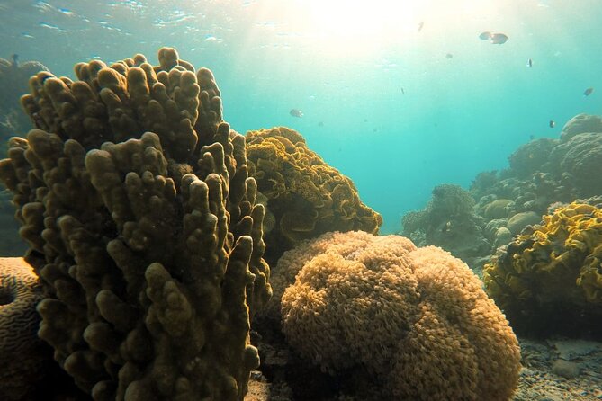 Private Scuba Diving Adventure in the Red Sea of Aqaba - Equipment, photos, and the small things that make it feel easy