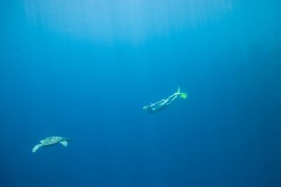 Private Snorkeling Experience in Aqaba Red Sea