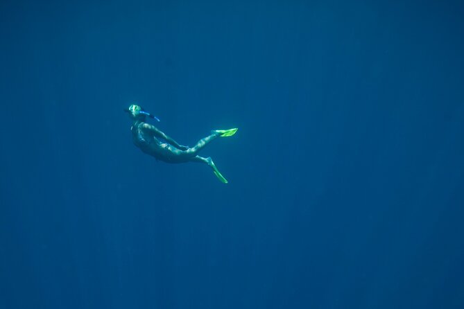 Private Snorkeling Experience in Aqaba Red Sea - Your private snorkel hour, plus guide-shot photos and videos