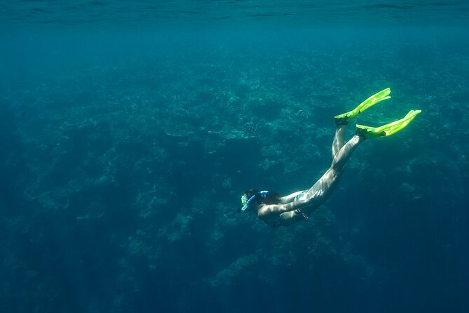 Private Snorkeling Experience in Aqaba Red Sea - What’s included, what isn’t, and what to bring