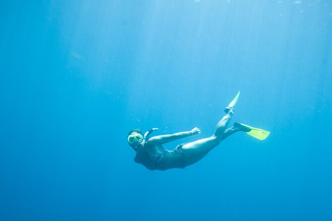 Private Snorkeling Experience in Aqaba Red Sea - Who should book this private trip in Aqaba