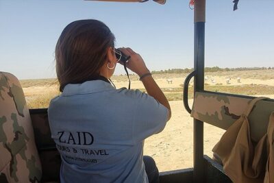 Private Tour of Desert Castles Eastern Jordan with optional Azraq Wetland Visit