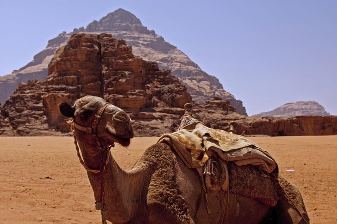 Private Tour of Wadi Rum Star Wars from Aqaba - Bedouin mint tea: the pause that makes it feel human