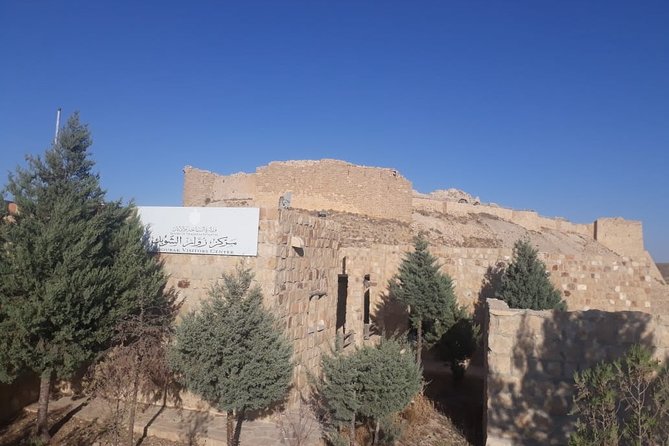 Private Tour Petra and Shobak Castle from Amman - Getting back to Amman: pace, comfort, and who this tour suits
