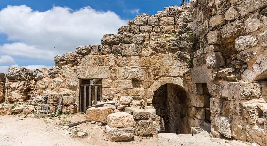 Private Tour to Jerash and Ajloun from Amman - The rhythm of the 8-hour day: walking time, free exploration, and smart gear