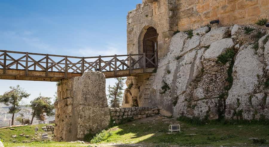 Private Tour to Jerash and Ajloun from Amman - Lunch option and restaurant reality in Jordan