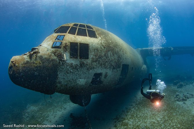 Scuba Diving for Certified Divers - Key things I’d watch for before you go